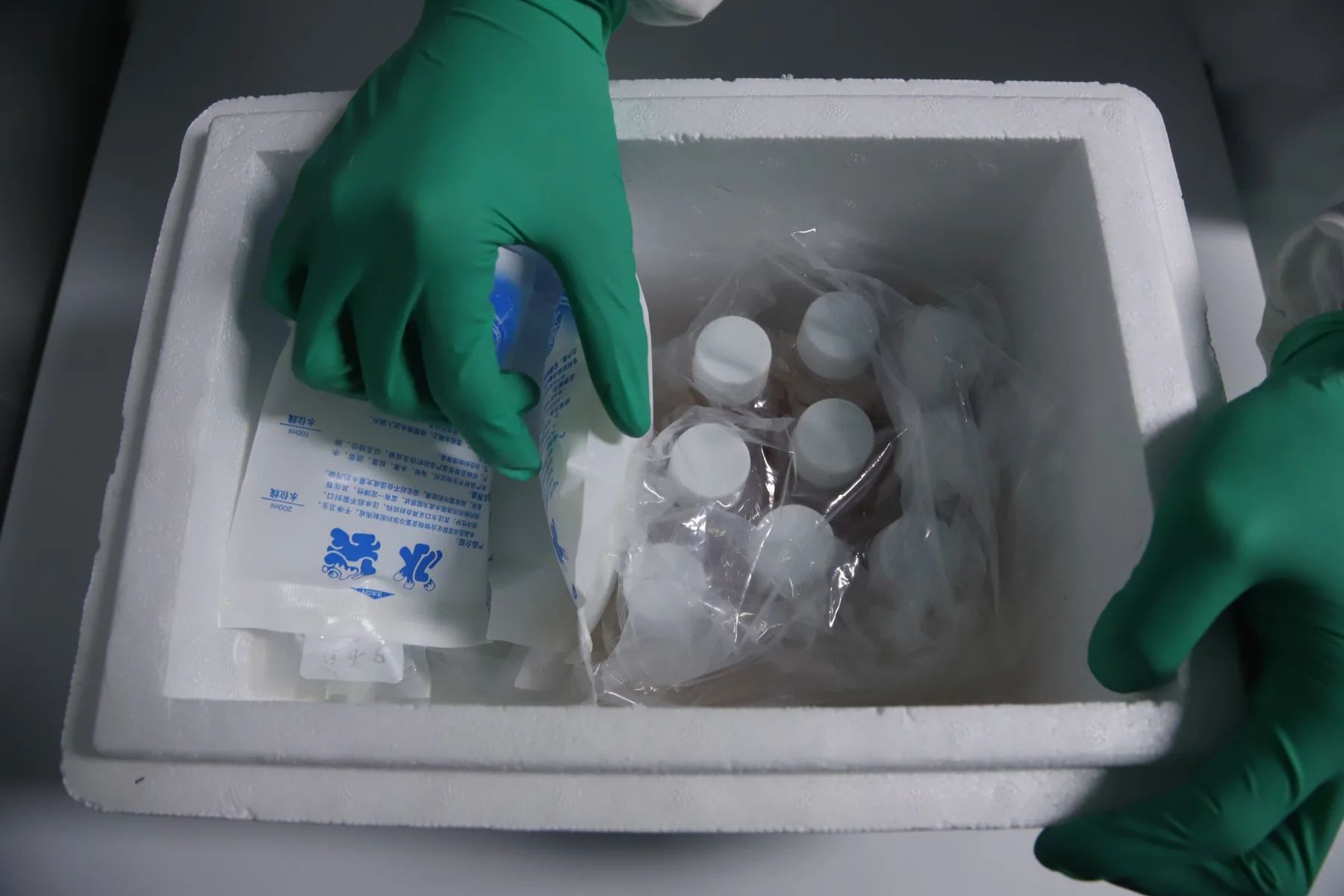 Actual packaging of samples in an insulated shipping box