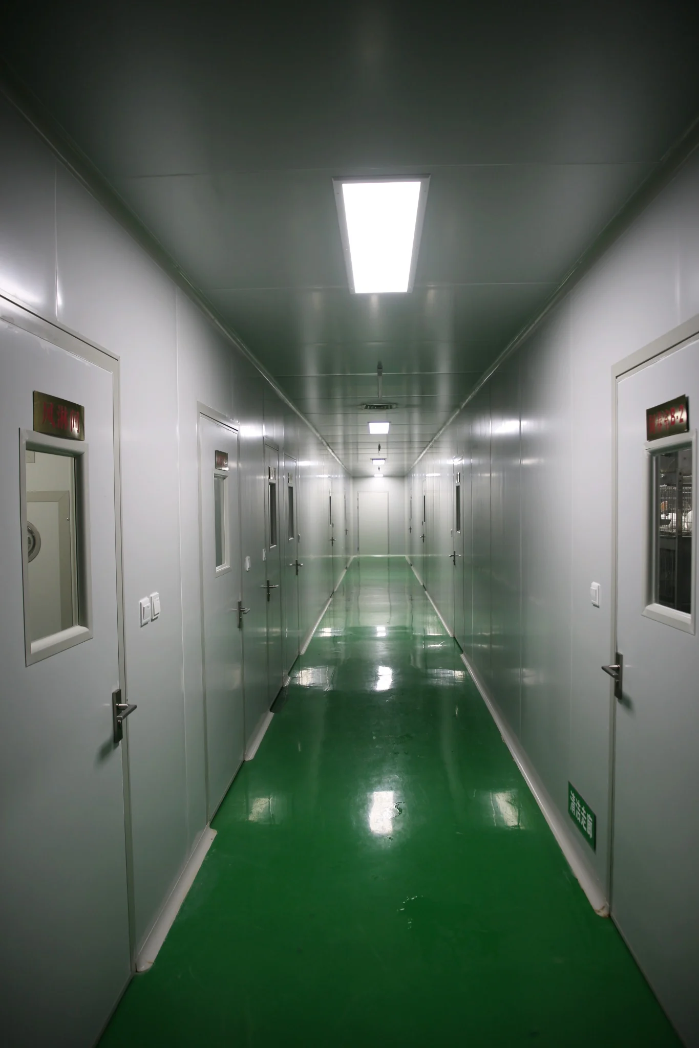 Hallway connecting multiple animal rooms in the company facility