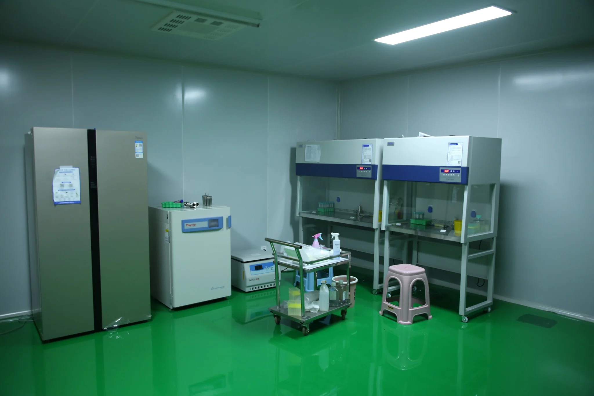 Actual company laboratory area used for sample processing