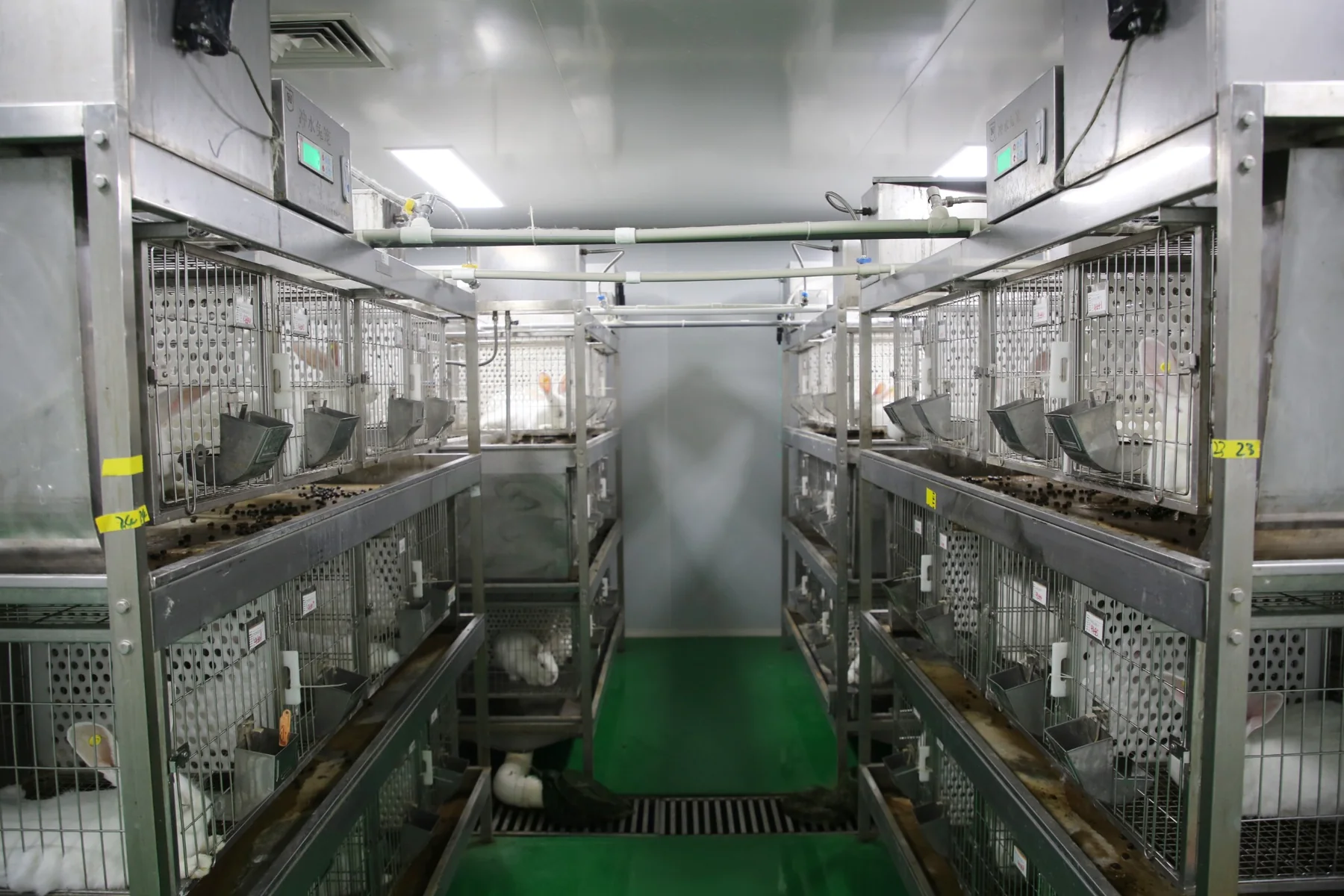 Rabbit housing aisle at the company facility