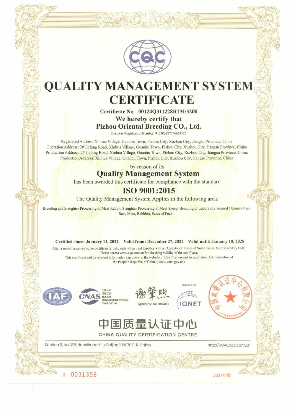 Company ISO 9001:2015 certificate, page 3 English version